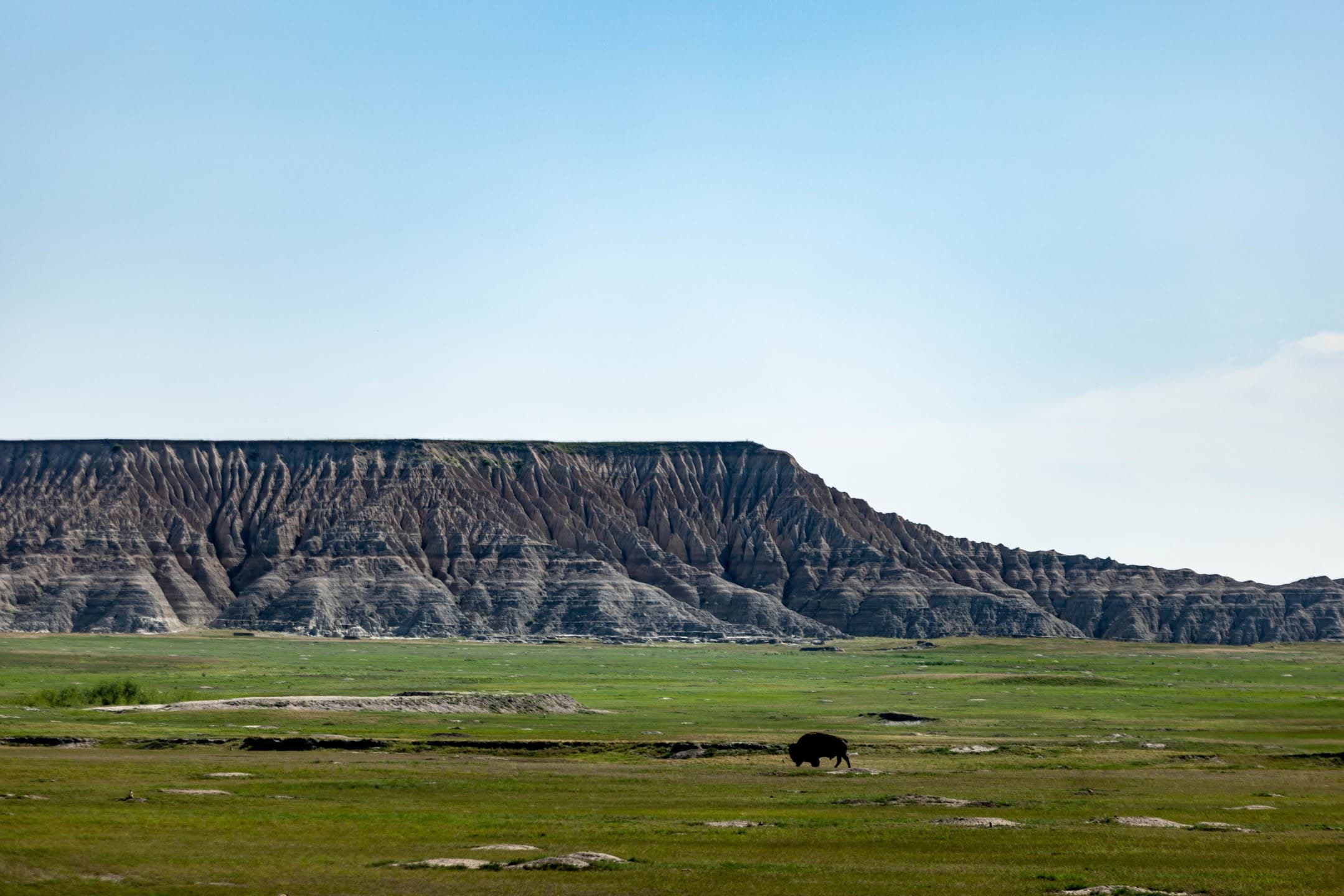 Butte and Bison