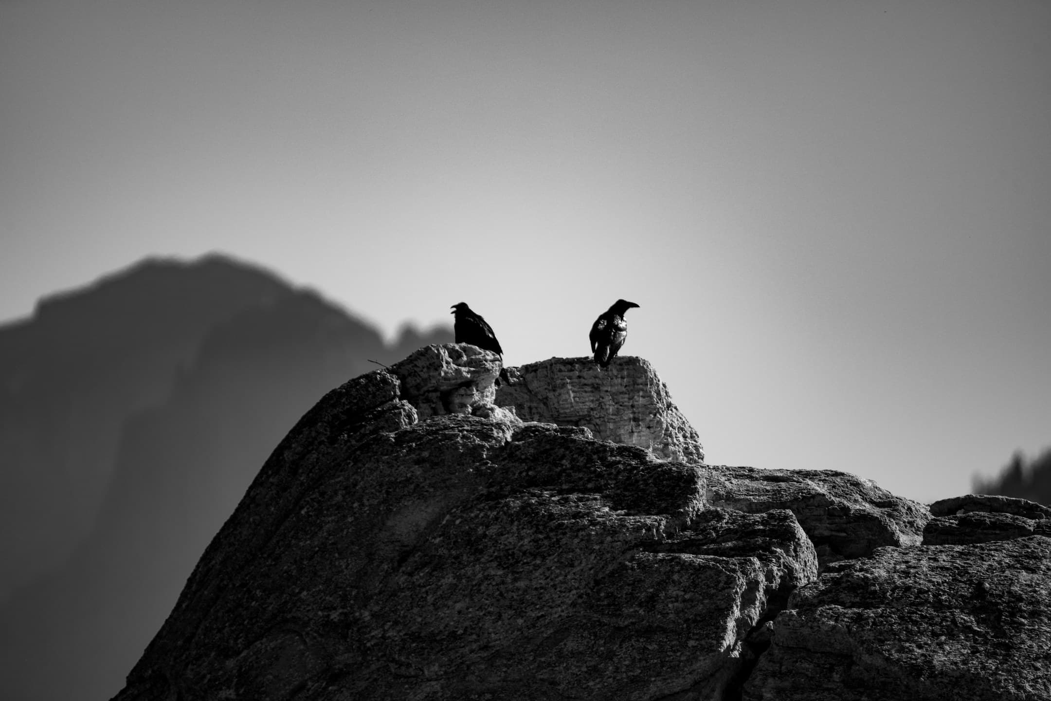 Perch