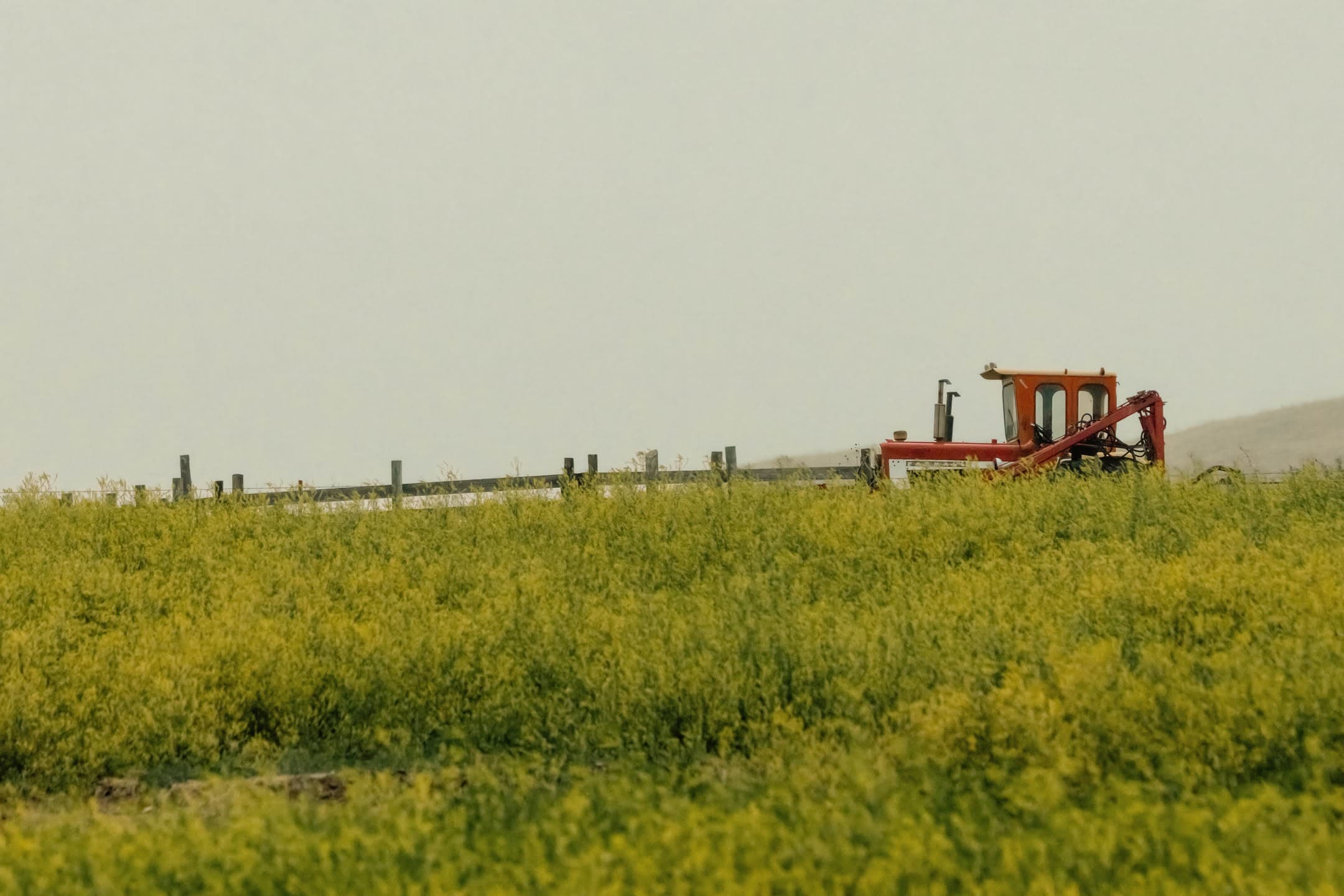 Red Tractor