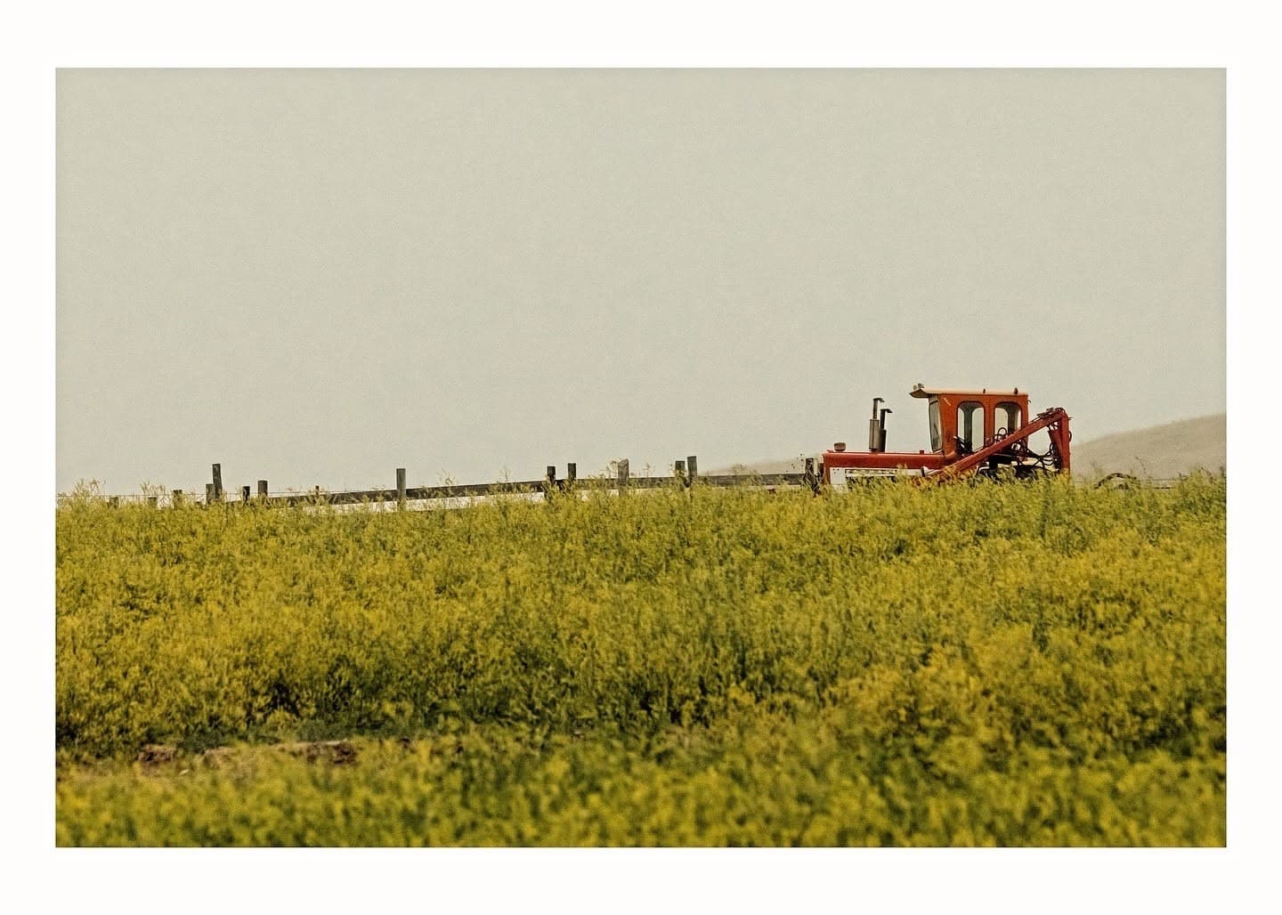 Red Tractor