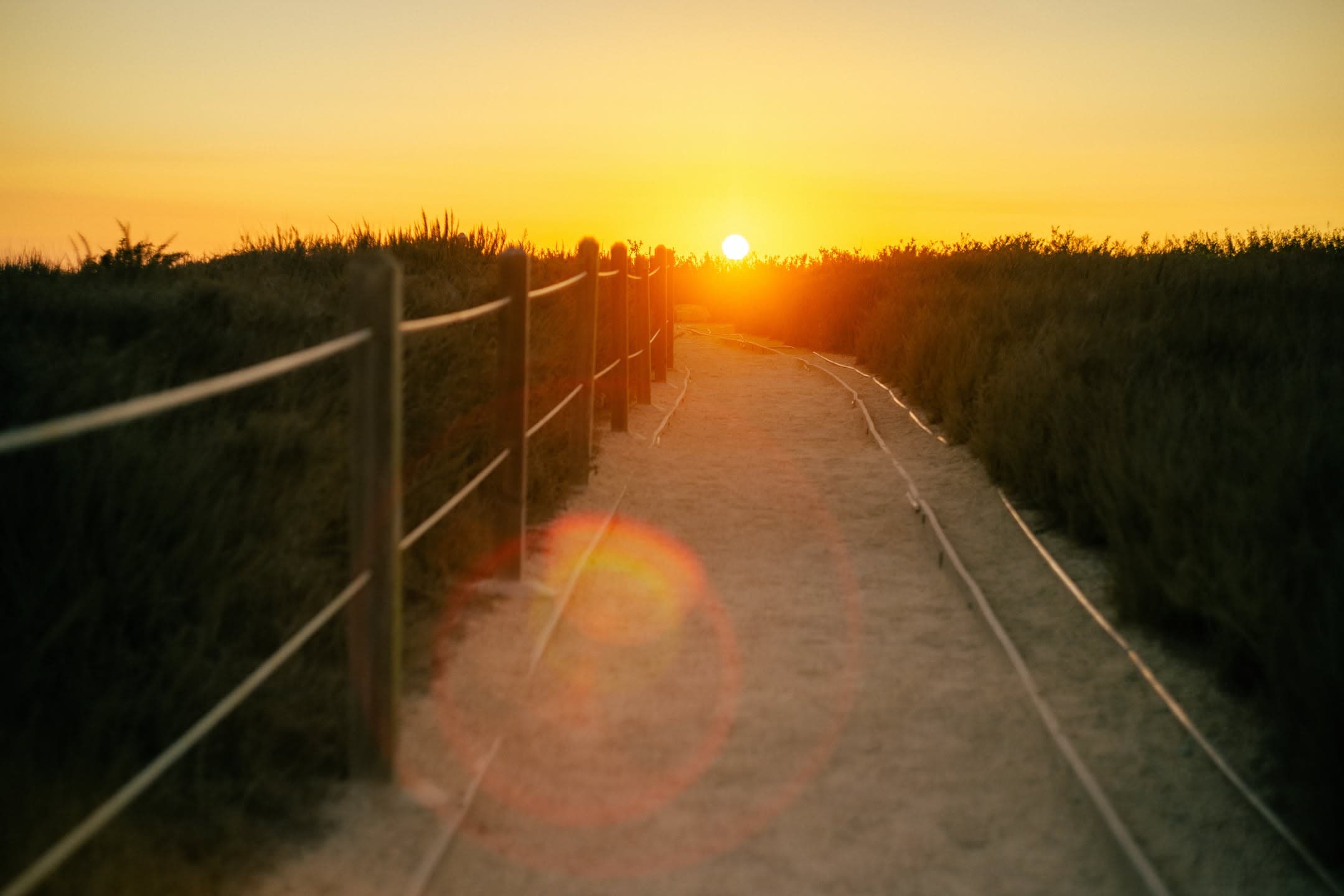 Sunset Path