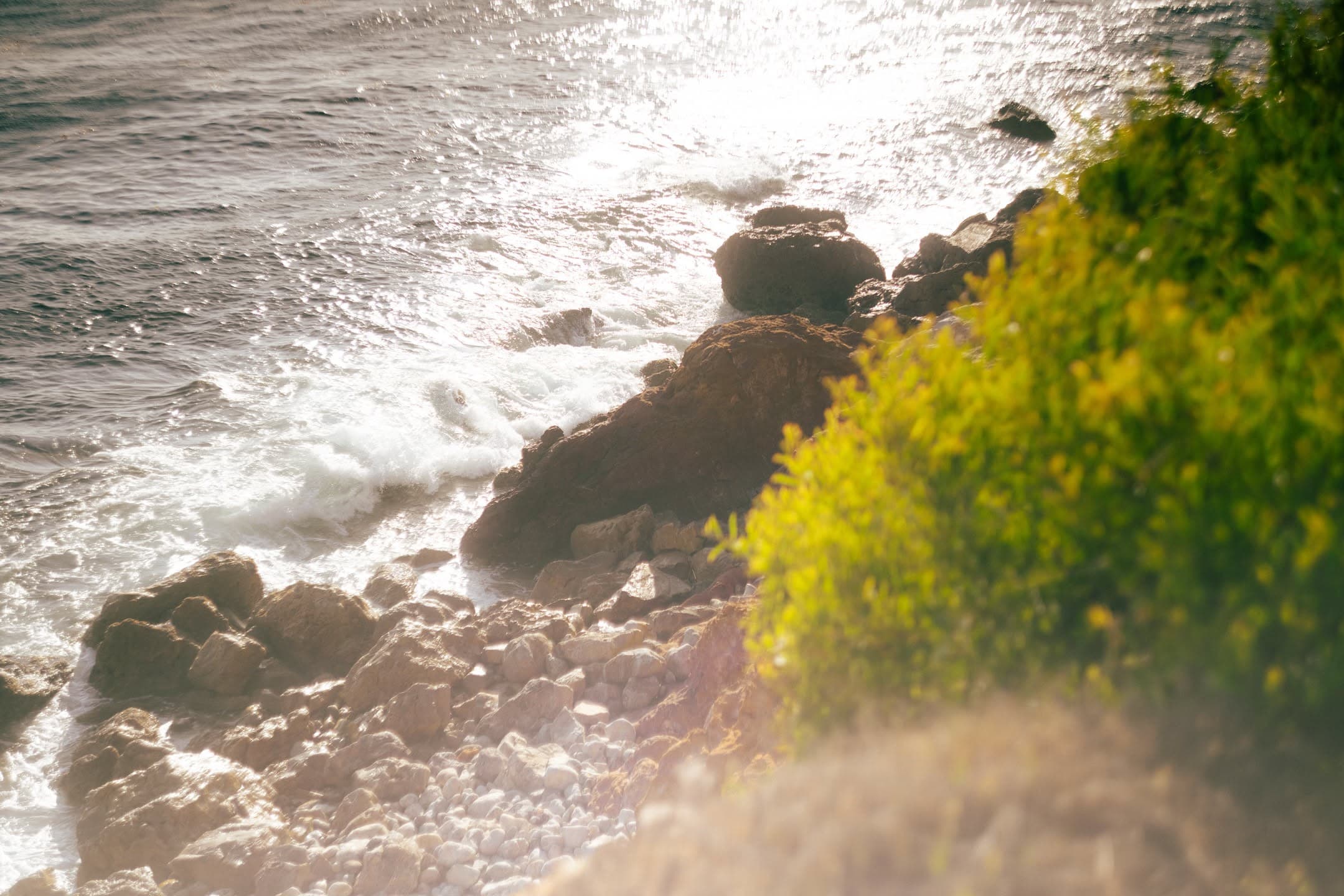 Surf and Wildflowers