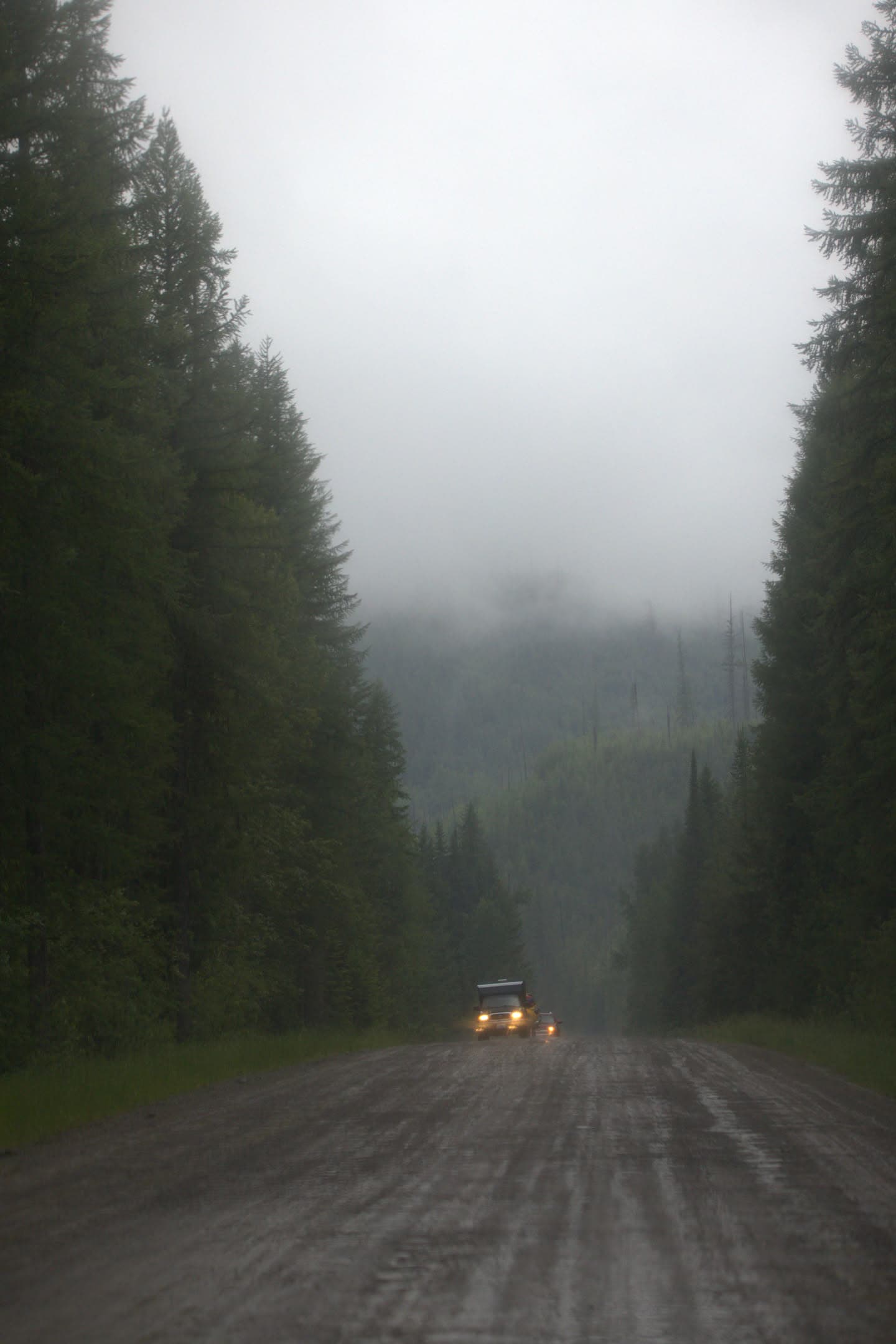 Fog Road