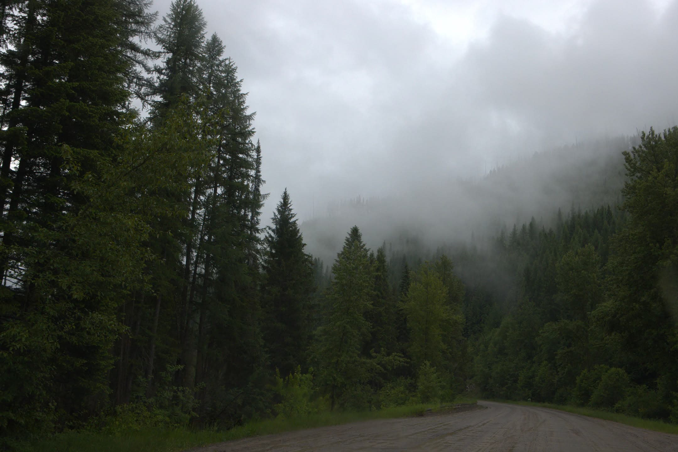 Mist Line