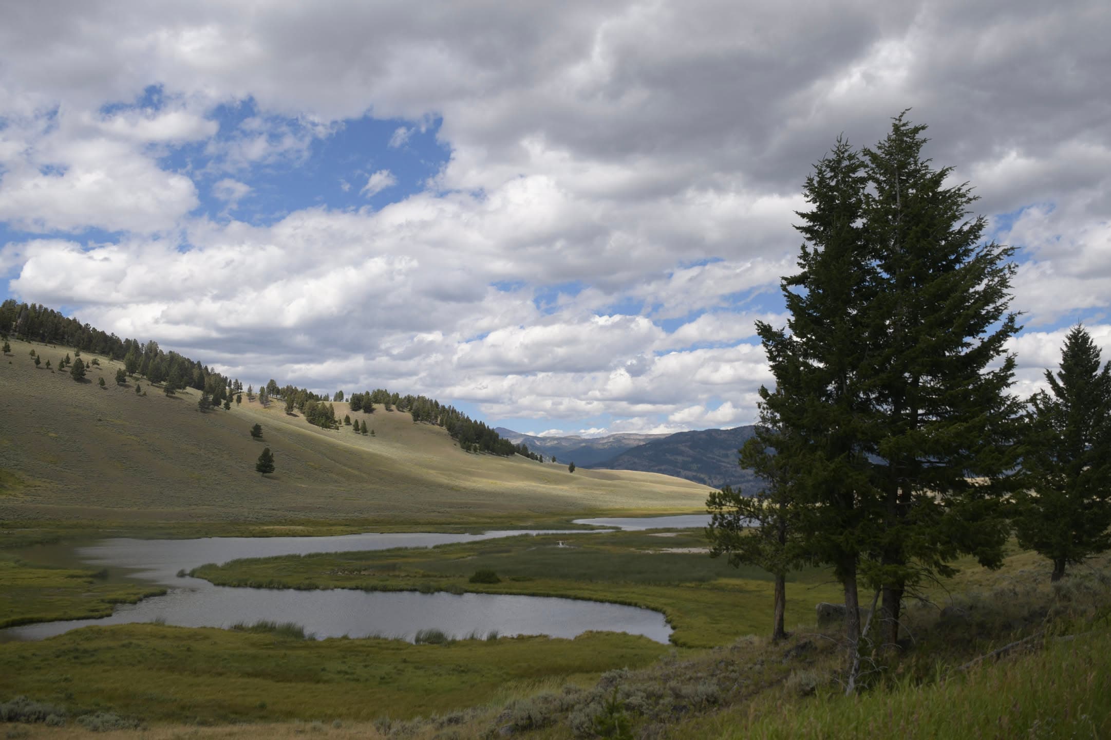 River Bends