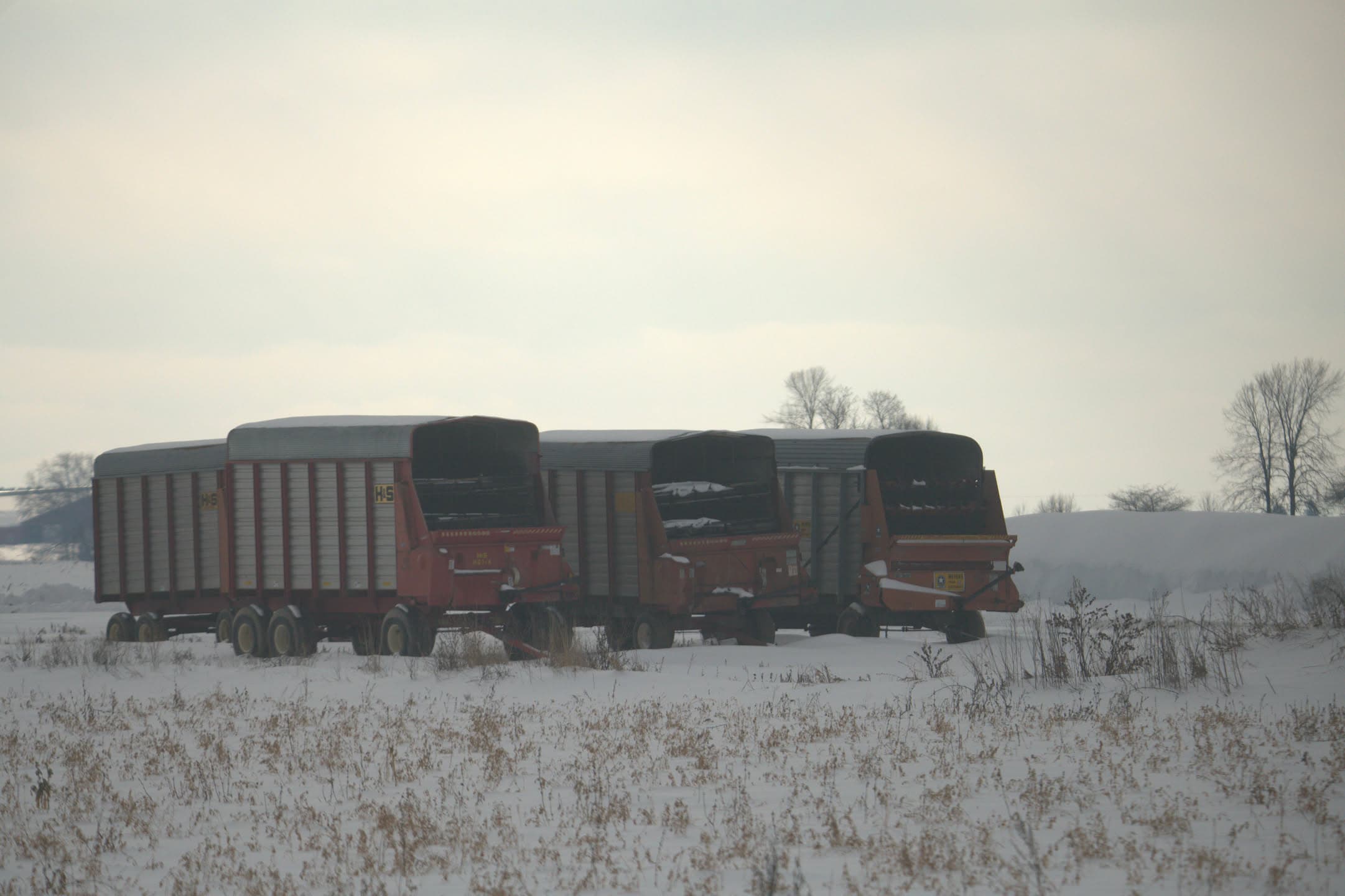 Wagons in Snow