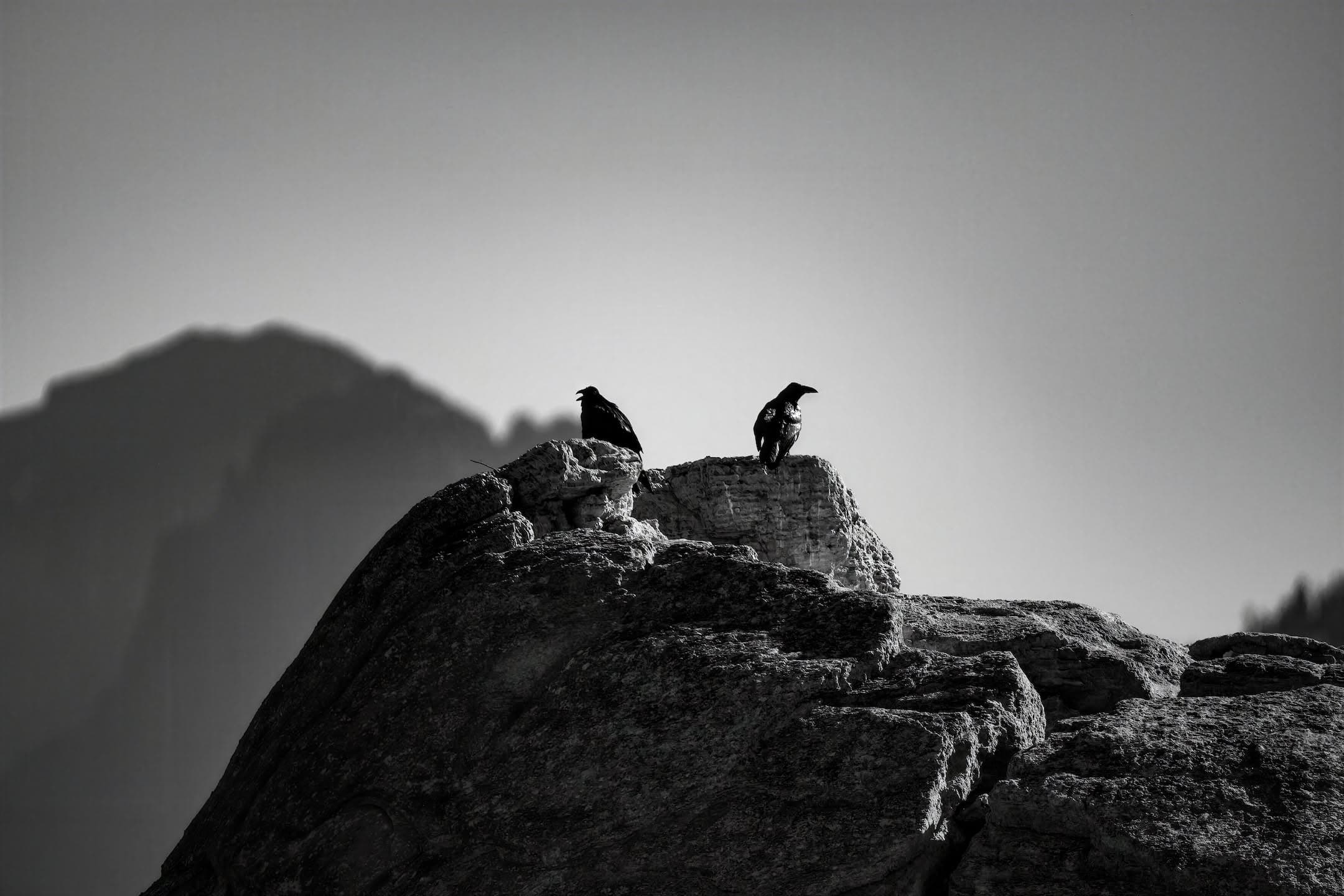Perch